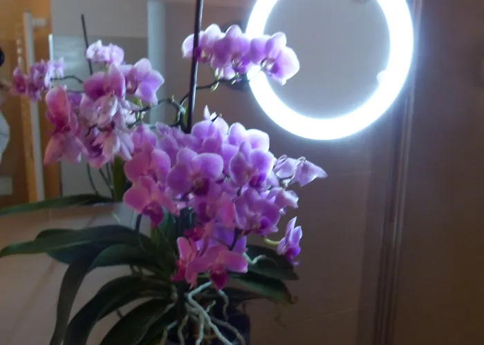 Posthotel Lechtal, Arlberg Hotel Holzgau