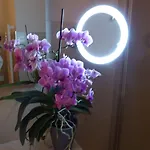 Posthotel Lechtal, Arlberg Hotell Holzgau